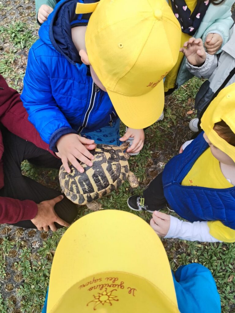 Bambini con il cappellino giallo accarezzano una tartaruga